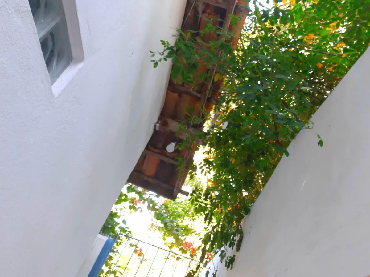 Apartment Chalezinho D'Ajuda Brazil